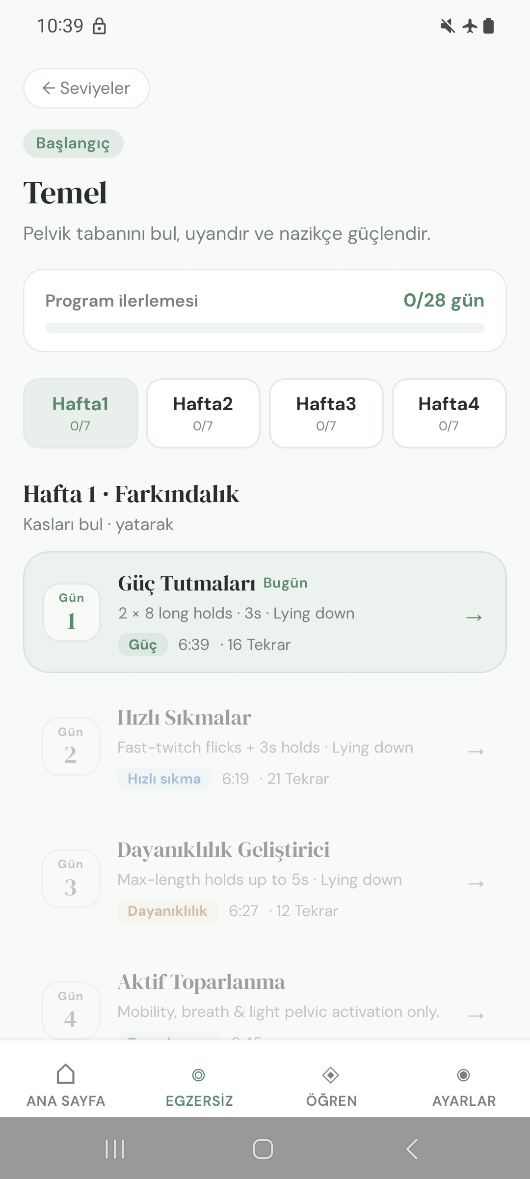 Egzersiz Hareketleri